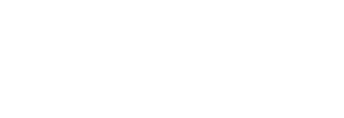STEAM